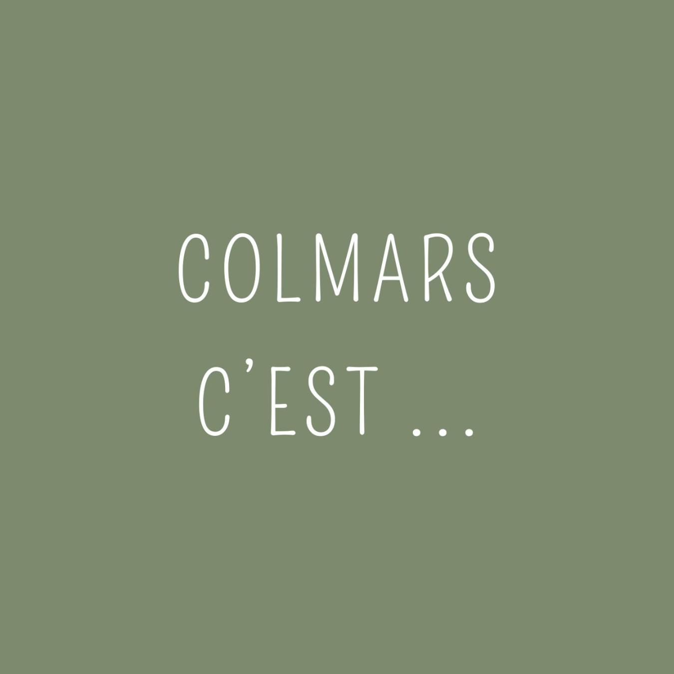 Maison Familiale Des Remparts Colmars Luaran gambar